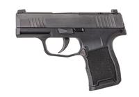 P365 380 ACP