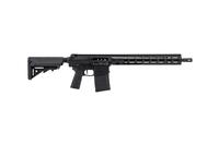 ZION-25 Rifle, 308, 16