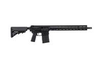 ZION-25 Rifle, 308, 18